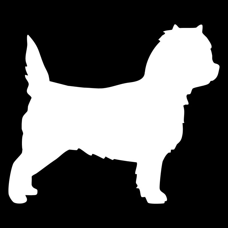 Cairn Terrier