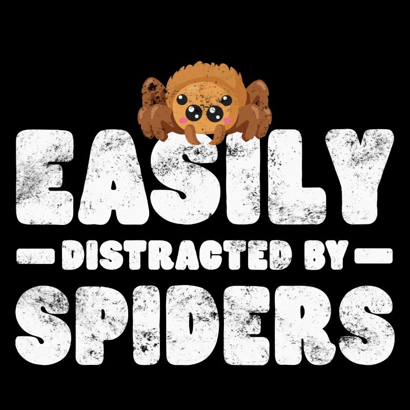 Spider Tarantula