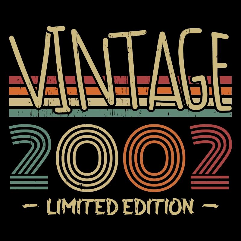 Vintage 2002 Retro 2002 Birthday Gift