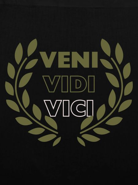 Veni VIDI VICI