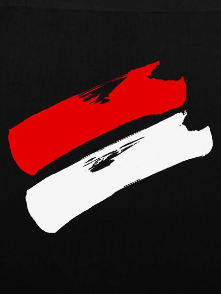Hessen Flagge / Pinselstriche