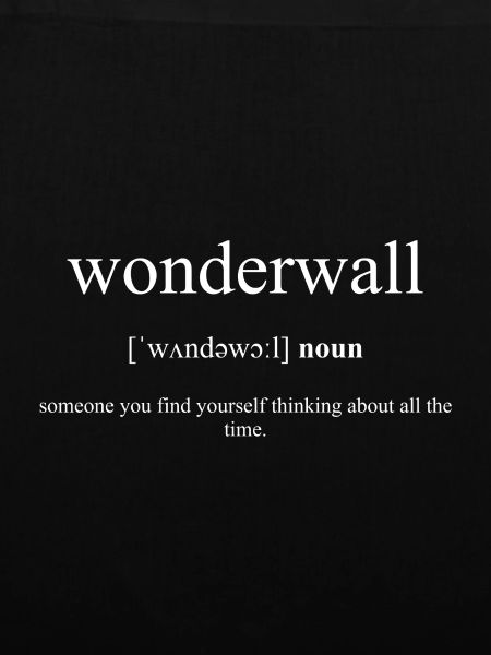 Wonderwall (Schutzwand) Black Edition