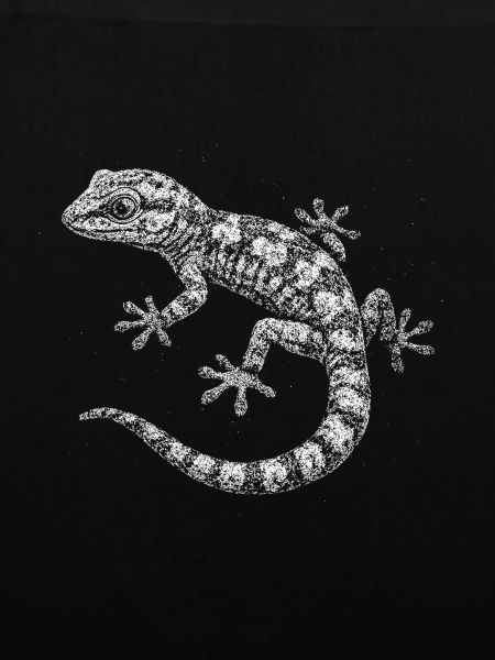 A gecko
