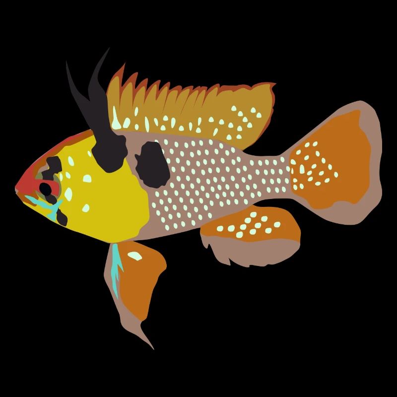ramirezi schmetterlingsbuntbarsch Aquaristik