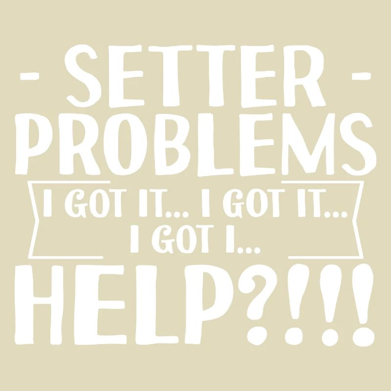 Setter Problems I Got It I Got It I Got It Help4