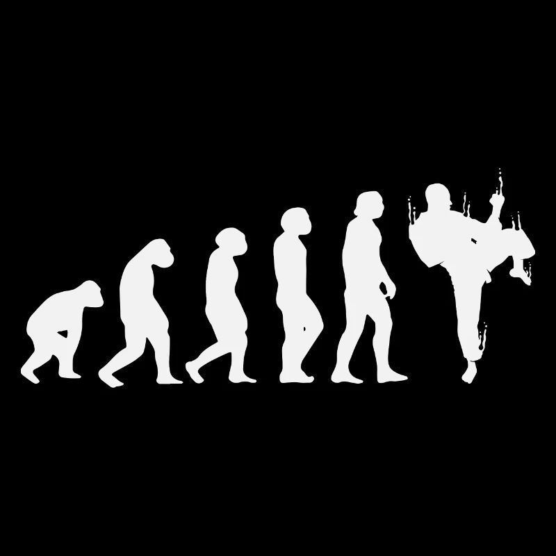 Évolution du karaté