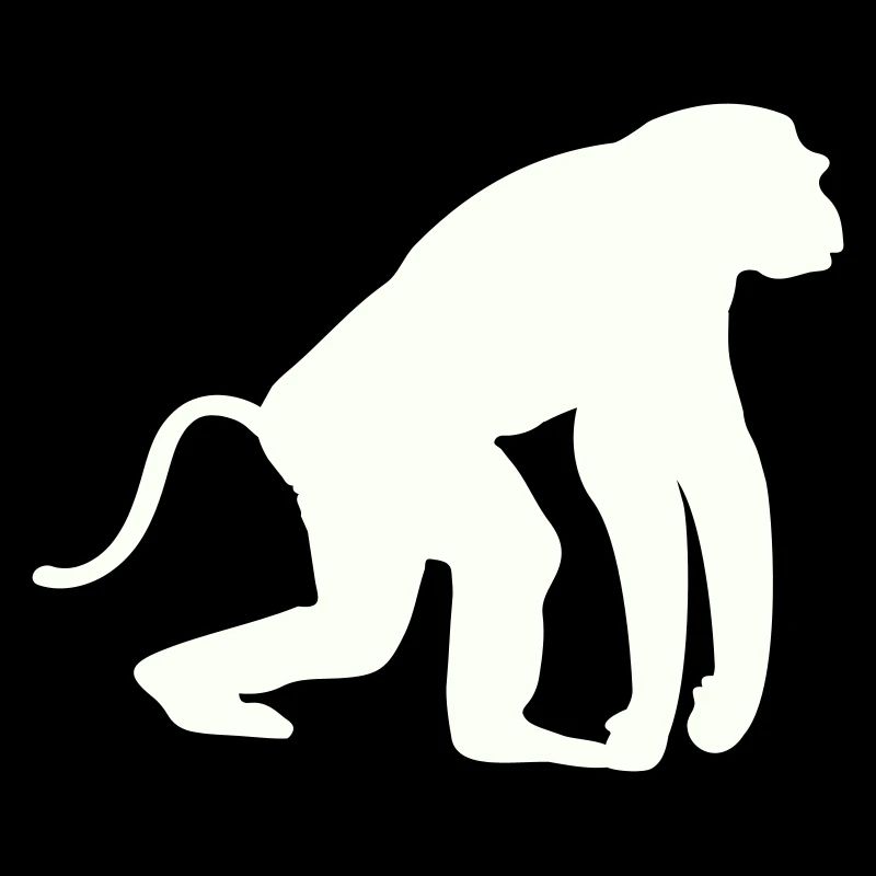 Silhouette de singe