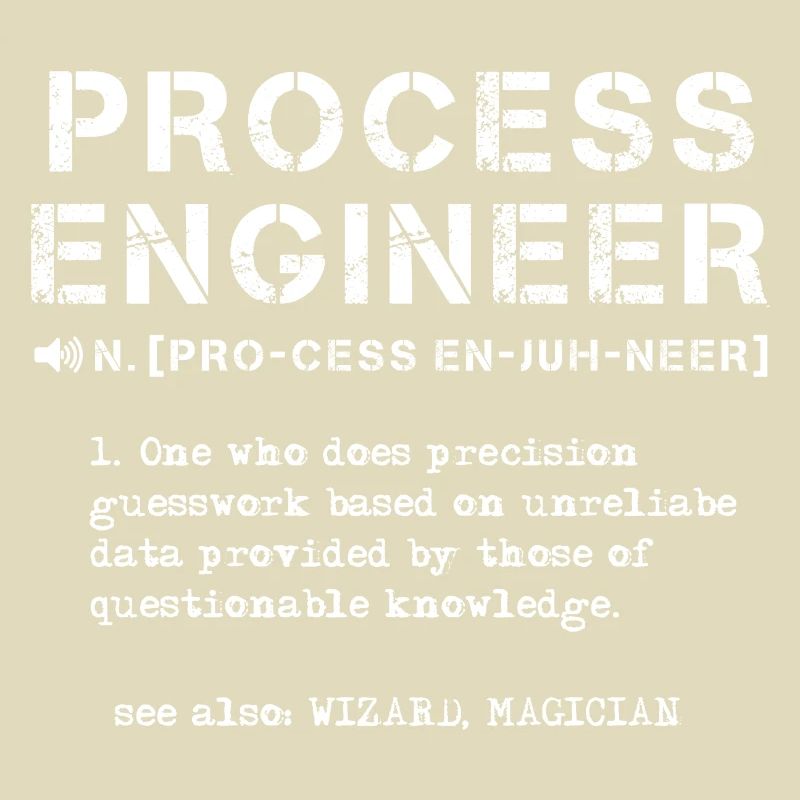 process engineer