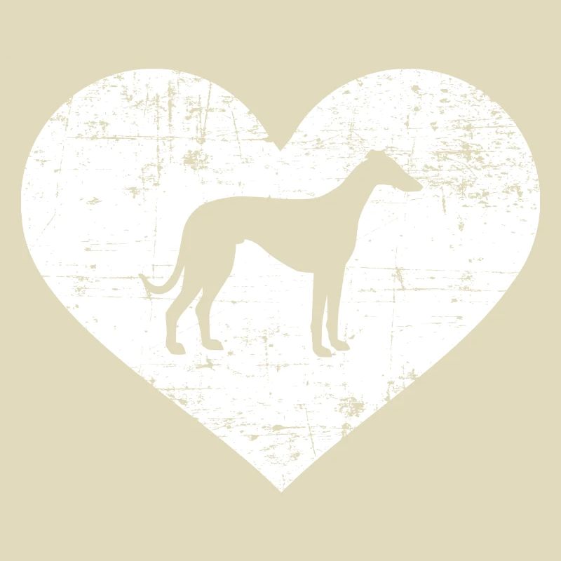 Whippet