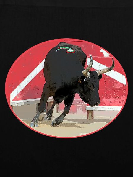 Oval Camargue bull
