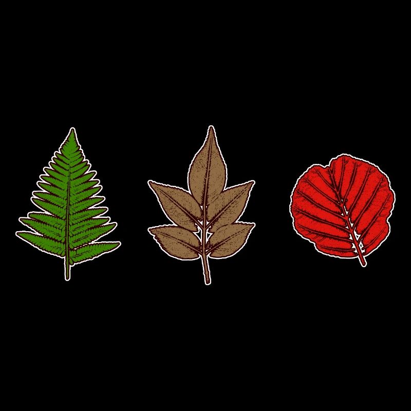 Feuilles