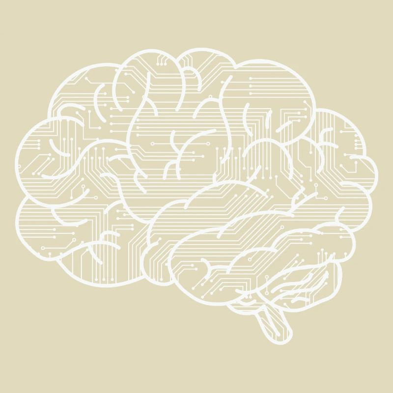 Programmer Brain funny coding for woman men