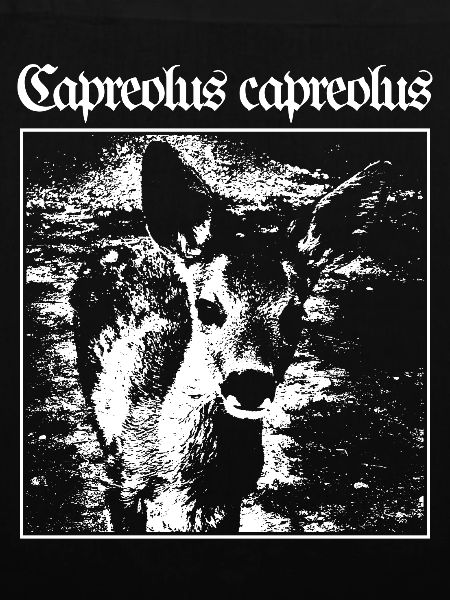 Capreolus capreolus