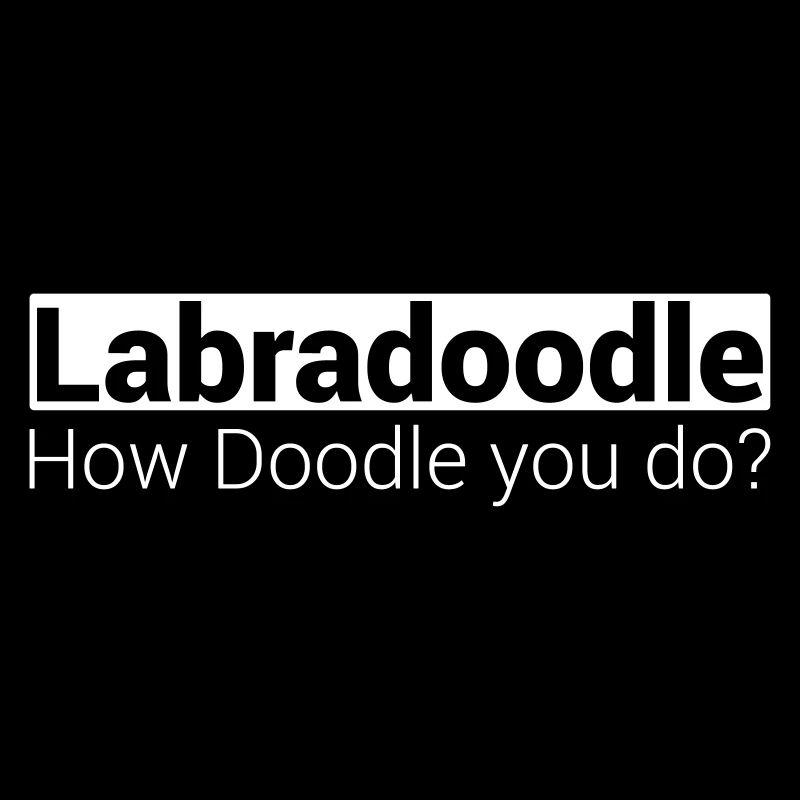Labradoodle - Chien Doodle
