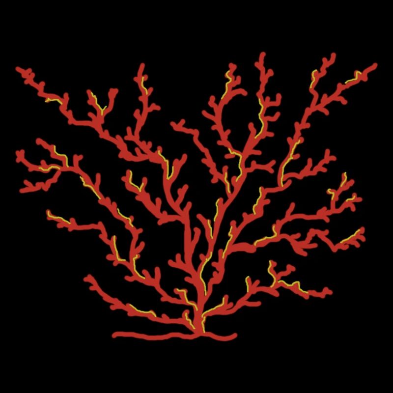 Coral