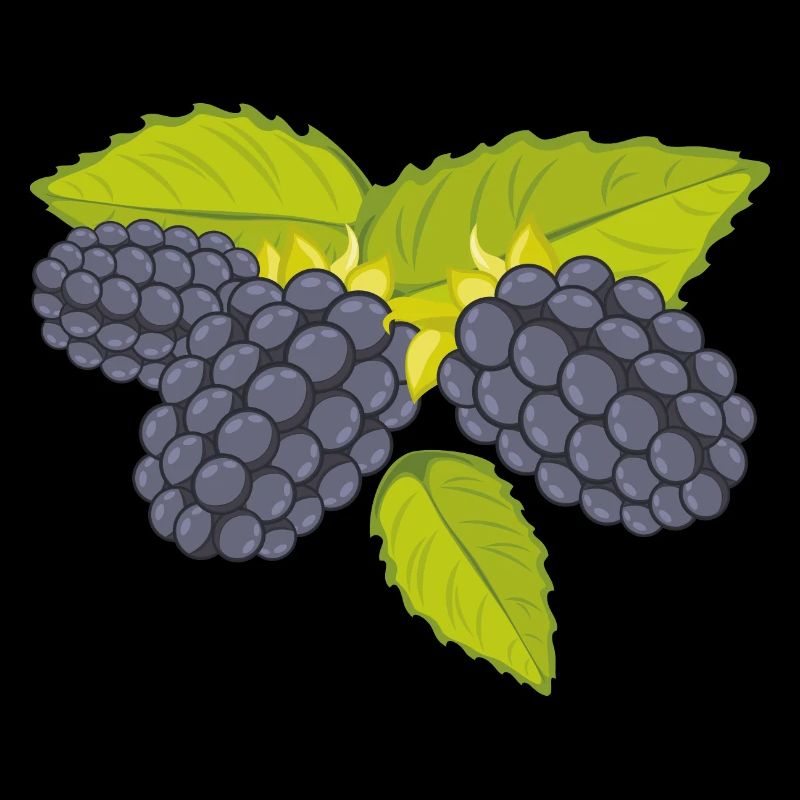 Brombeere