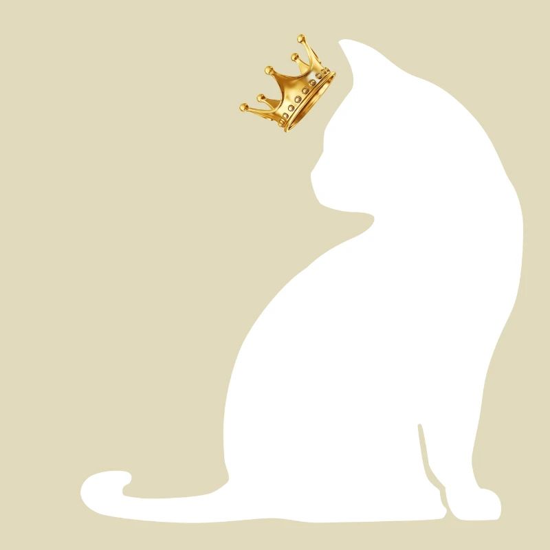 Krone Katze