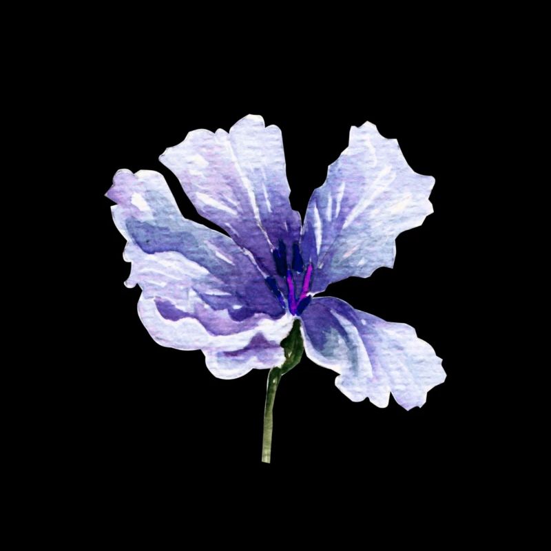 Blume