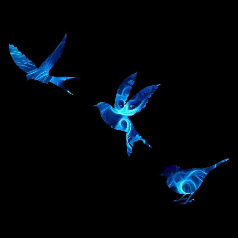 Blaue Vögel