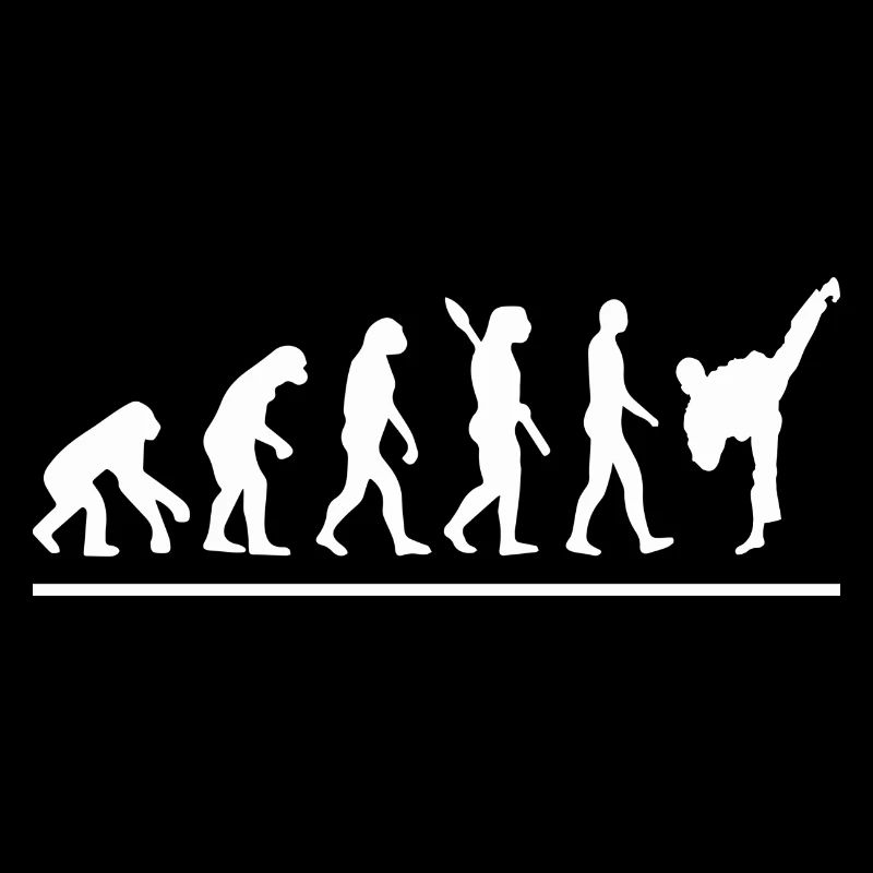 Évolution karaté