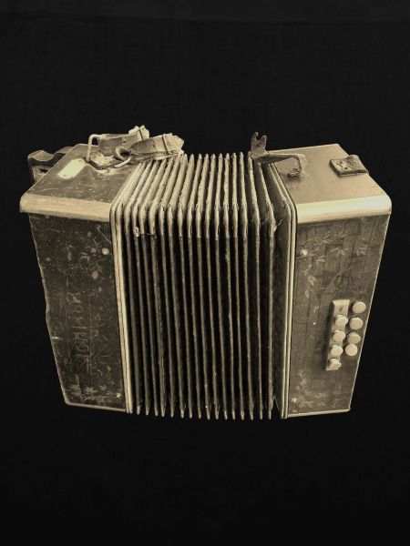 Retro Akkordeon - Sepia