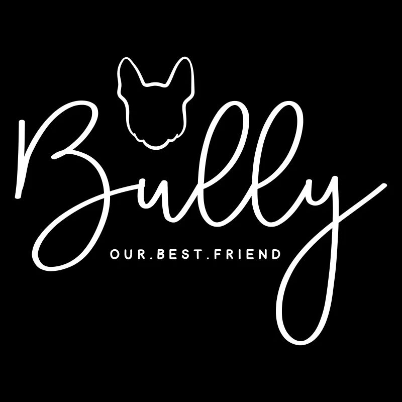 Modern Bully
