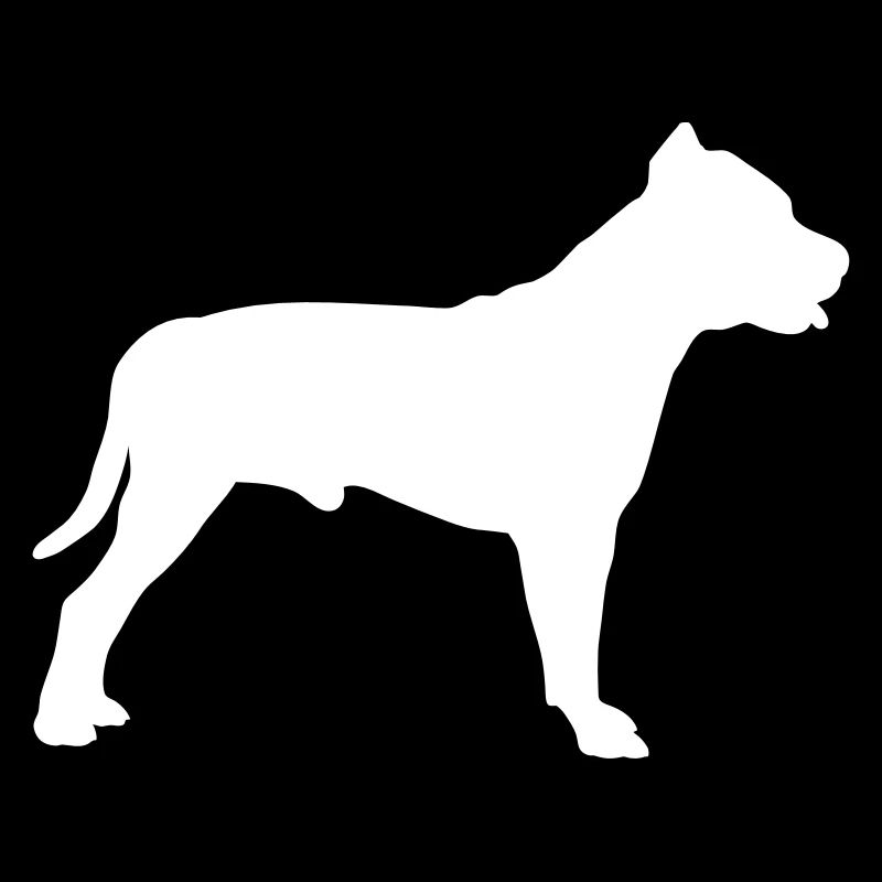 Pitbull