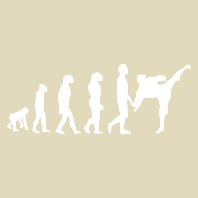 Evolution der Kampfkünste