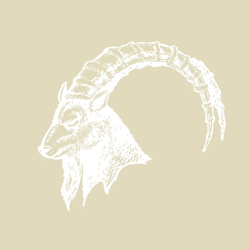 STEINBOCK