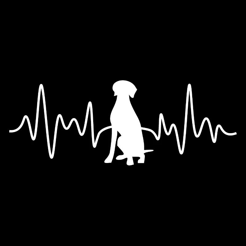 Weimaran heartbeat