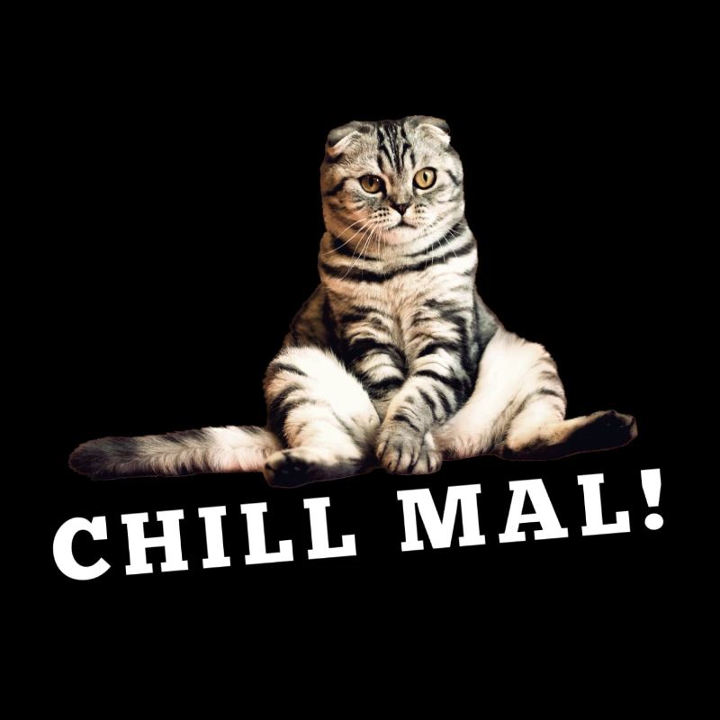 Cat Chill times