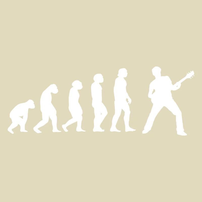 Evolution Gitarrist