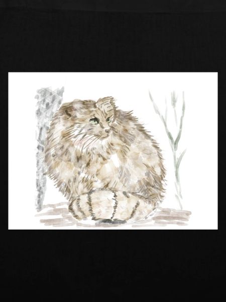 Manul-Wildkatze