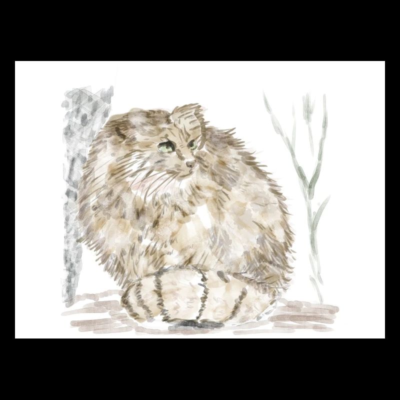 Manul wild cat