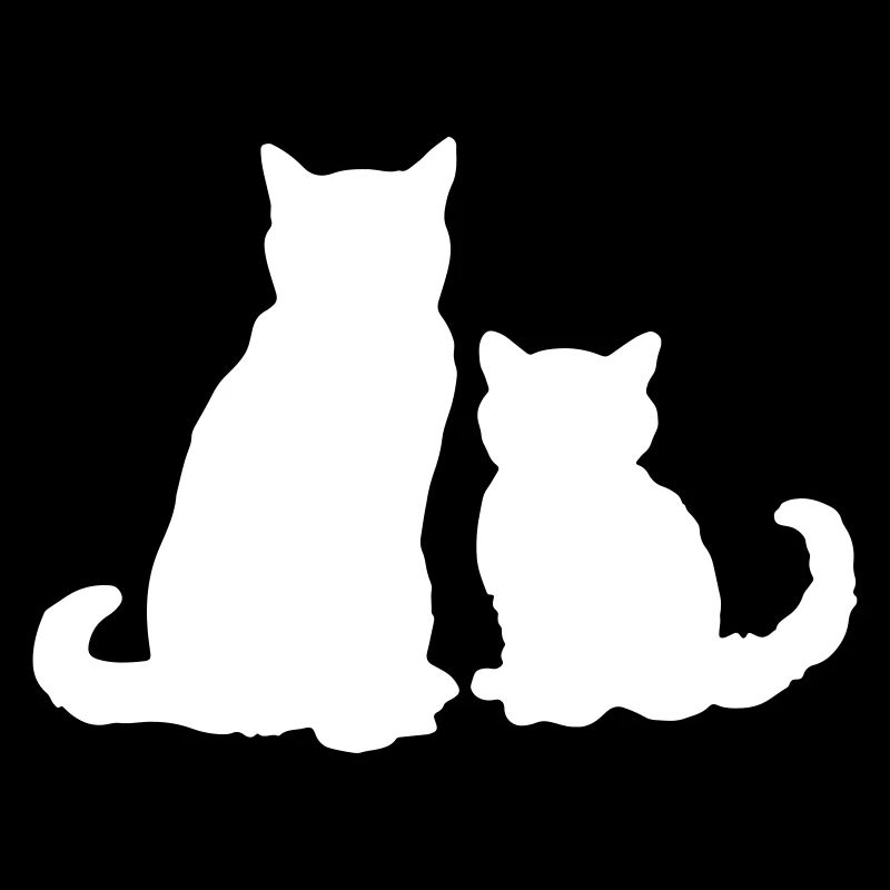 Zwei Katzen two cats