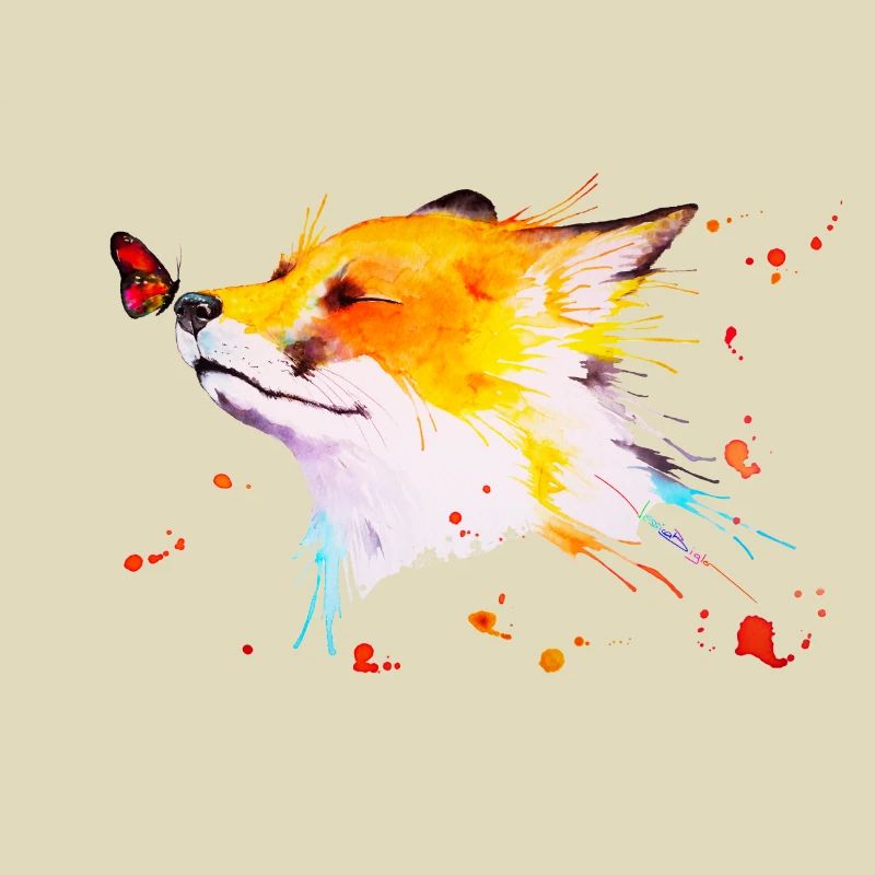 Rotfuchs
