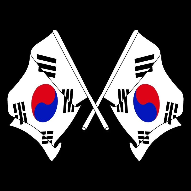 Deux drapeaux croisés de la Corée du Sud