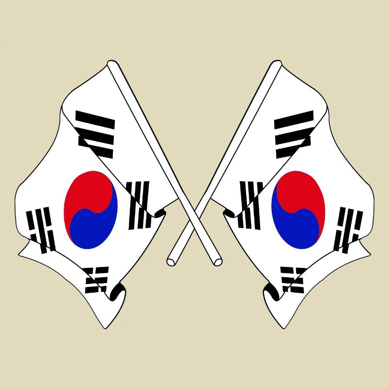 Deux drapeaux croisés de la Corée du Sud