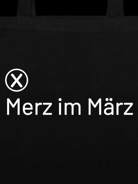 Friedrich Merz im März