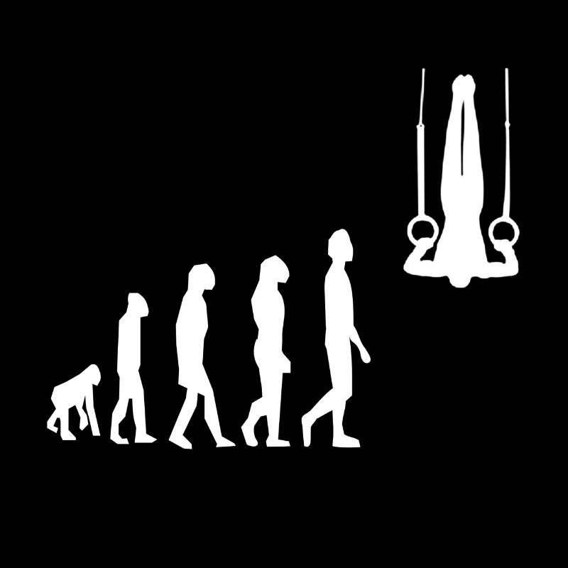 Ringeturnen Rings Gymnastics Evolution