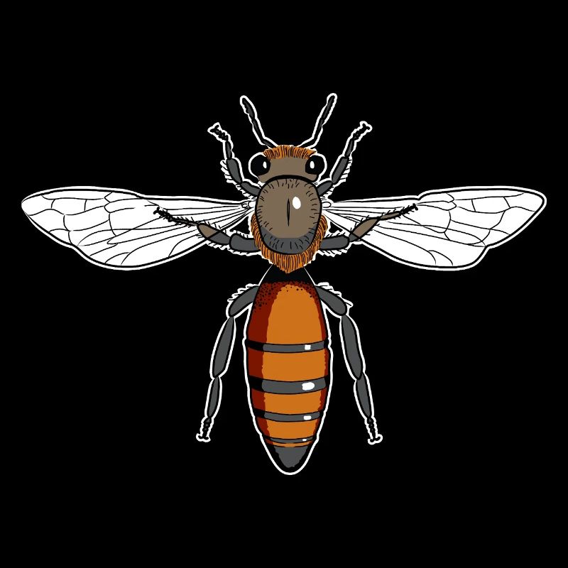 Queen Bee Bee Honey Bee Bee Beekeeper 1