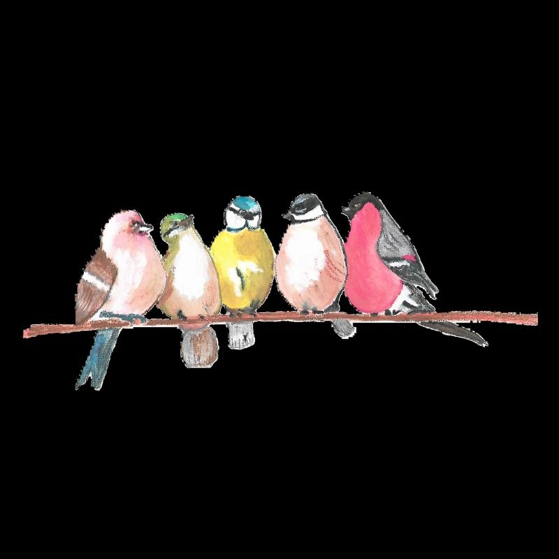 Oiseaux
