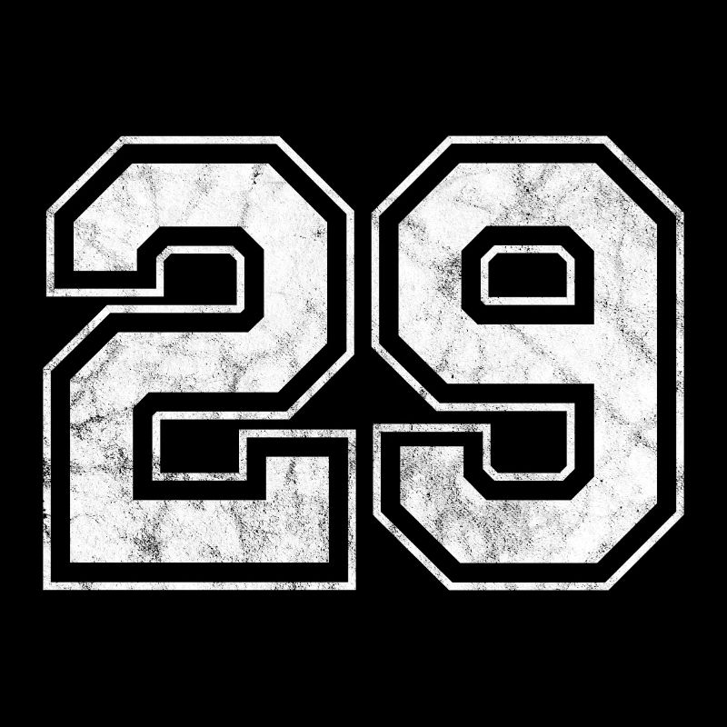 Numéro 29