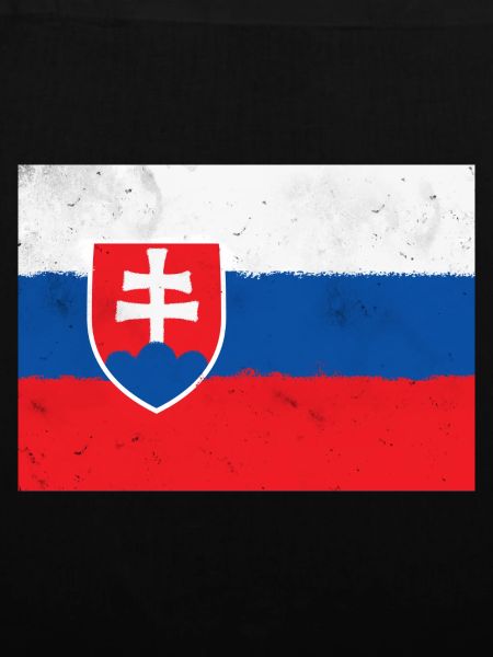 Flagge der Slowakei