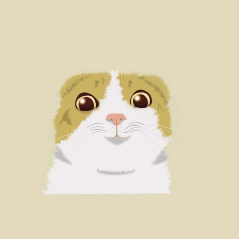 smiling cat meme