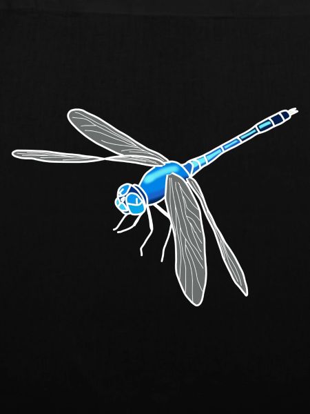 dragonfly