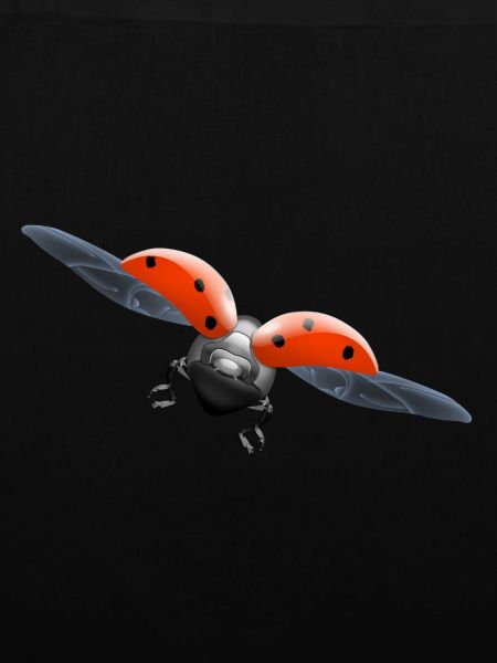 ladybug Marienkäfer