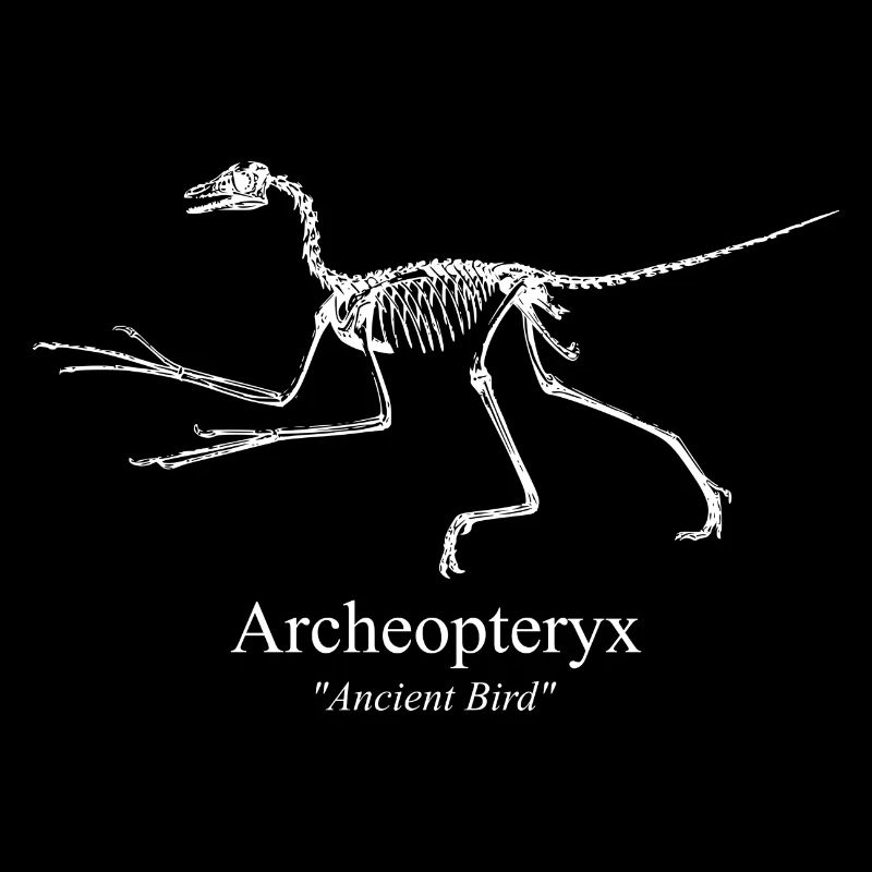 Archeopteryx weiss