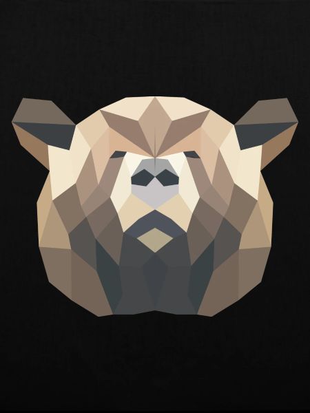 Braunbär