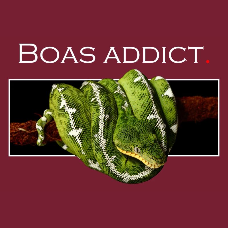 Boas addict
